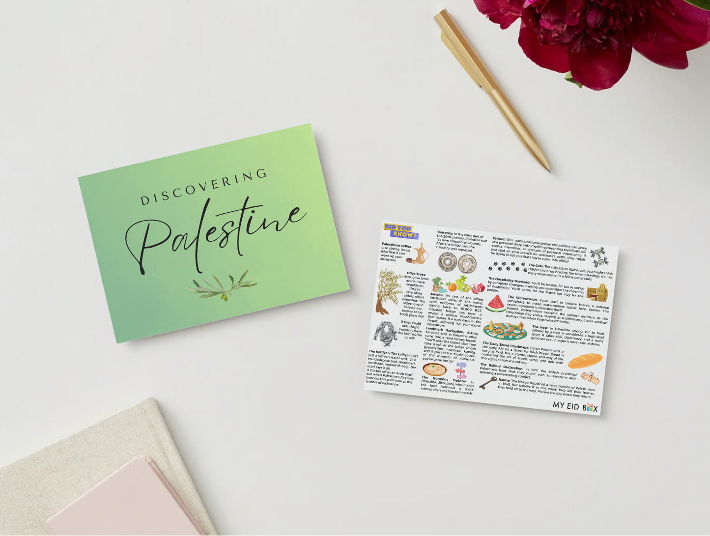 Education Cards illustrating interesting things to know about Palestine (Set of 10 Cards, 5 X 7)